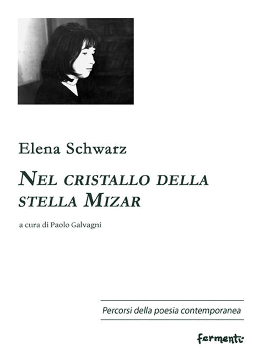 Cover of Nel cristallo della stella Mizar. Ediz. russa e italiana