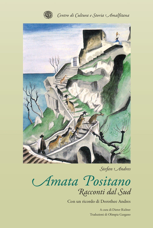 Cover of Amata Positano. Racconti dal Sud