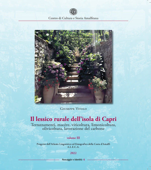 Cover of lessico rurale della Costiera Amalfitana. Terrazzamenti, macère, viticoltura, limonicoltura, olivicoltura, lavorazione del carbone
