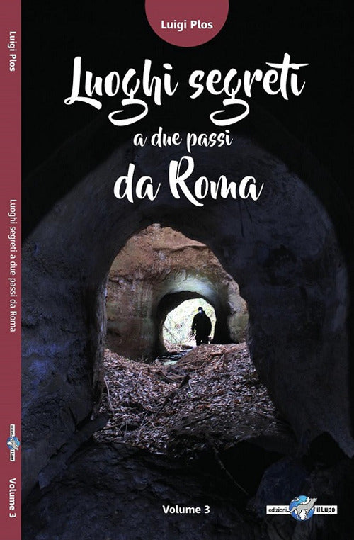 Cover of Luoghi segreti a due passi da Roma