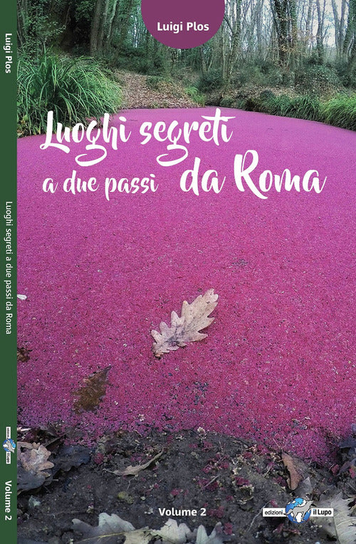 Cover of Luoghi segreti a due passi da Roma
