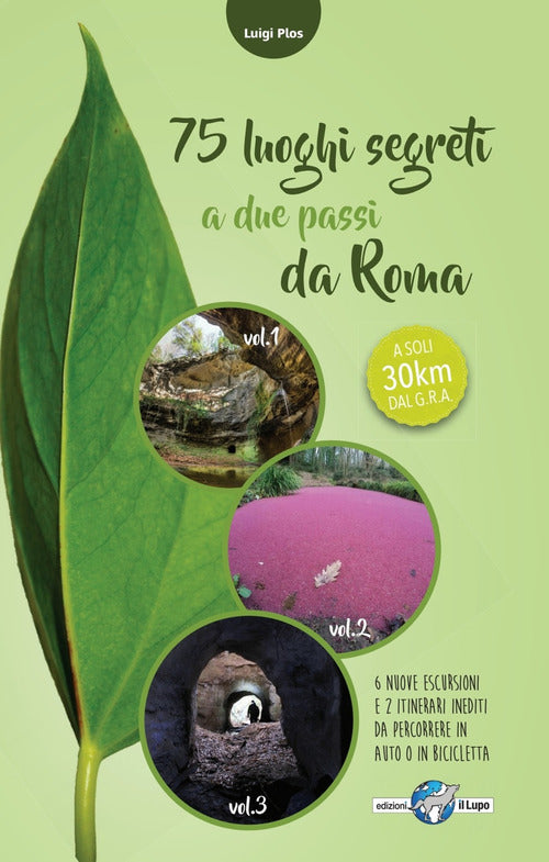 Cover of 75 luoghi segreti a due passi da Roma