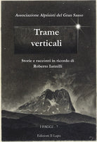 Cover of Trame verticali. Storie e racconti in ricordo di Roberto Iannilli