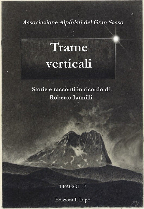 Cover of Trame verticali. Storie e racconti in ricordo di Roberto Iannilli