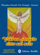 Cover of Vidi un angelo ritto sul sole. Con la guida degli spiriti celesti ogni giorno dell'anno