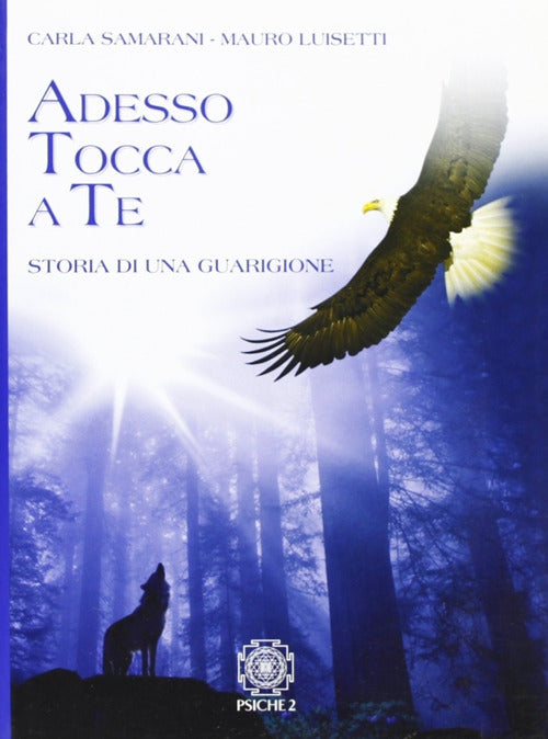 Cover of Adesso tocca a te. Storia di una guarigione
