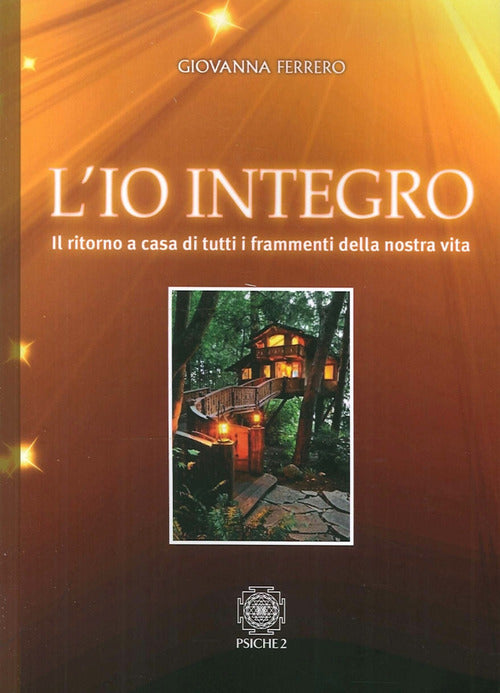 Cover of io integro. Il ritorno a casa di tutti i frammenti della nostra vita