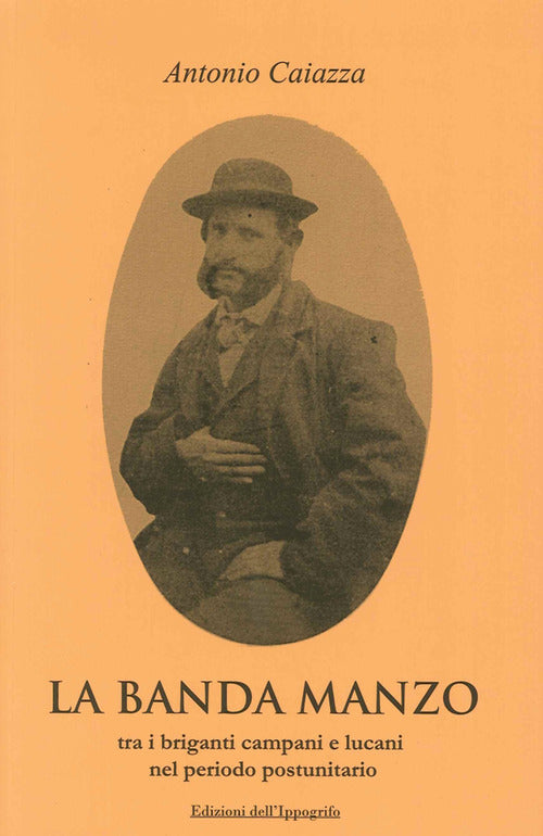 Cover of banda Manzo tra briganti campani e lucani nel periodo postunitario