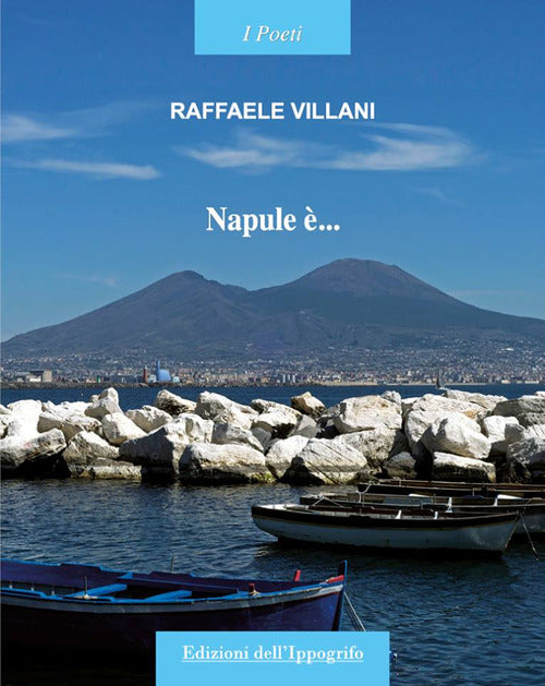 Cover of Napule è...