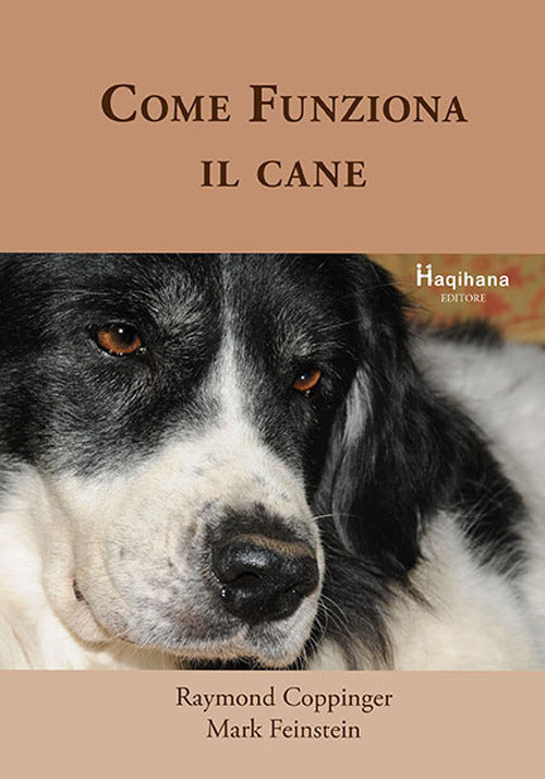 Cover of Come funziona il cane