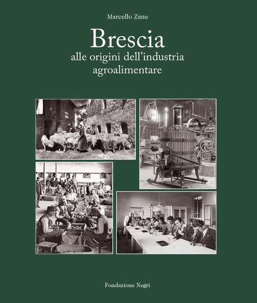 Cover of Brescia. Alle origini dell'industria alimentare