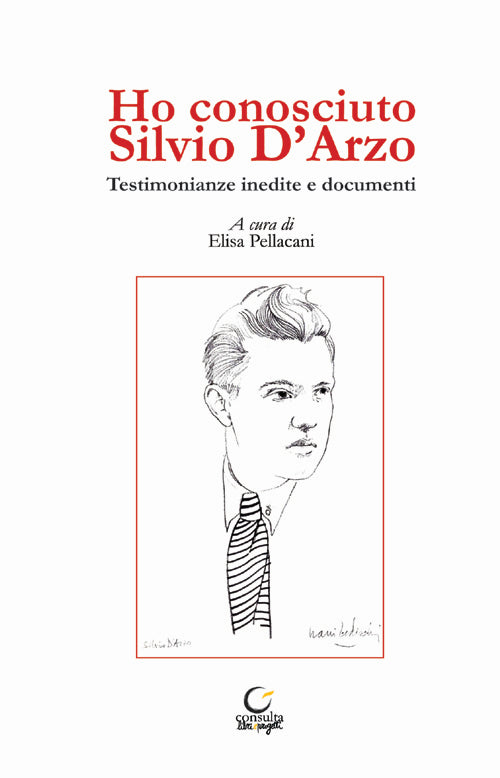 Cover of Ho conosciuto Silvio D'Arzo. Testimonianze inedite e documenti