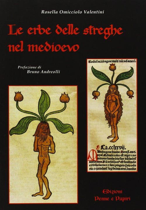 Cover of erbe delle streghe nel Medioevo