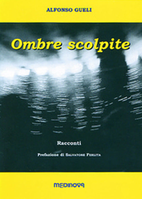 Cover of Ombre scolpite