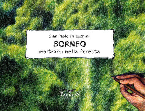 Cover of Borneo. Inoltrarsi nella foresta