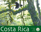 Cover of Costa Rica. Ars et natura project in Costa Rica Parks. Ediz. italiana e spagnola