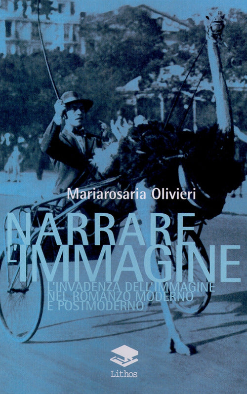 Cover of Narrare l'immagine. L'invadenza dell'immagine nel romanzo moderno e postmoderno