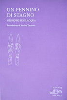 Cover of pennino di stagno