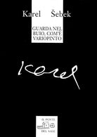 Cover of Guarda nel buio, com'è variopinto (testi dagli anni 1965-1995)