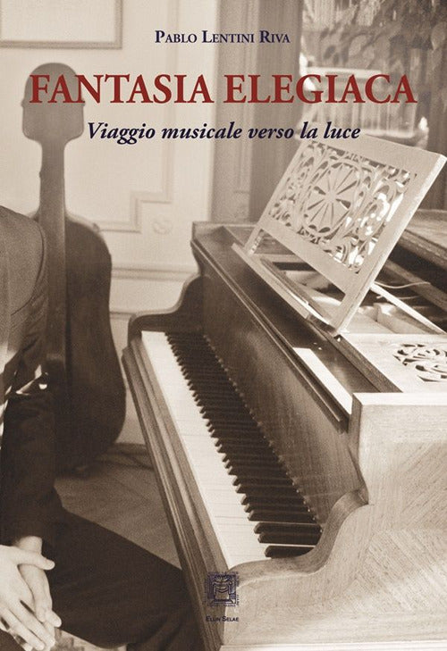 Cover of Fantasia elegiaca. Viaggio musicale verso la luce