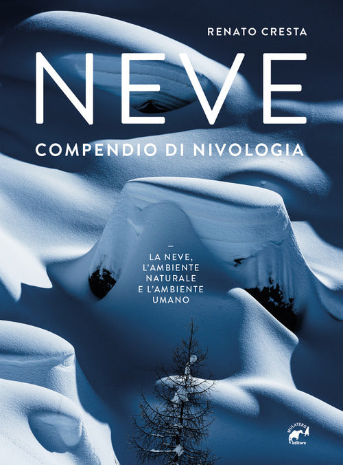 Cover of Neve. Compendio di nivologia