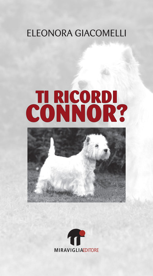 Cover of Ti ricordi Connor?