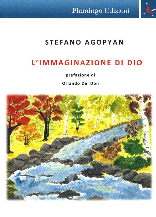 Cover of immaginazione di Dio