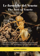 Cover of formiche del Veneto. Guida al riconoscimento delle specie con note di mirmecologia generale-The ants of Veneto. Guide to recognition of species with notes of general myopecology