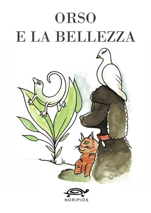 Cover of Orso e la bellezza