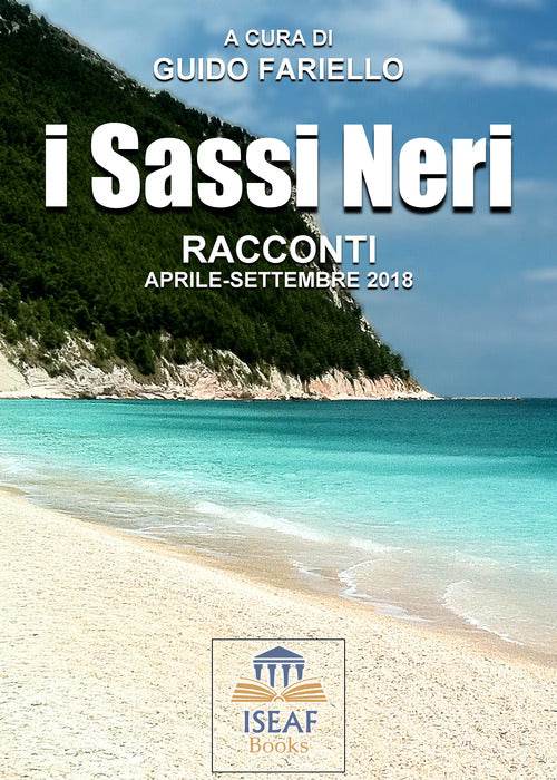 Cover of sassi neri. Racconti aprile-settembre 2018