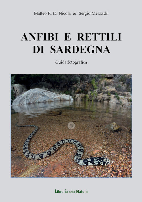 Cover of Anfibi e rettili di Sardegna. Guida fotografica