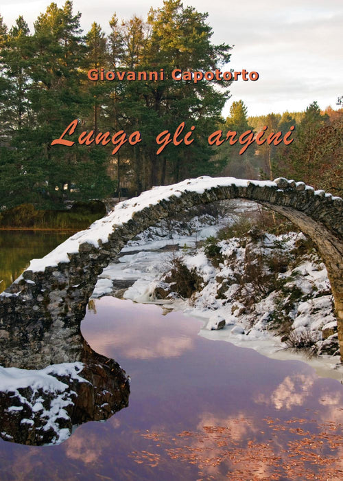 Cover of Lungo gli argini