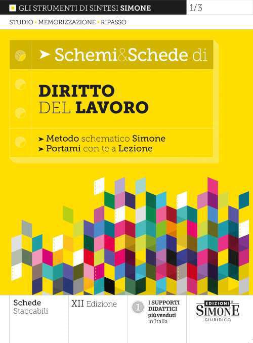 Cover of Schemi & schede di diritto del lavoro