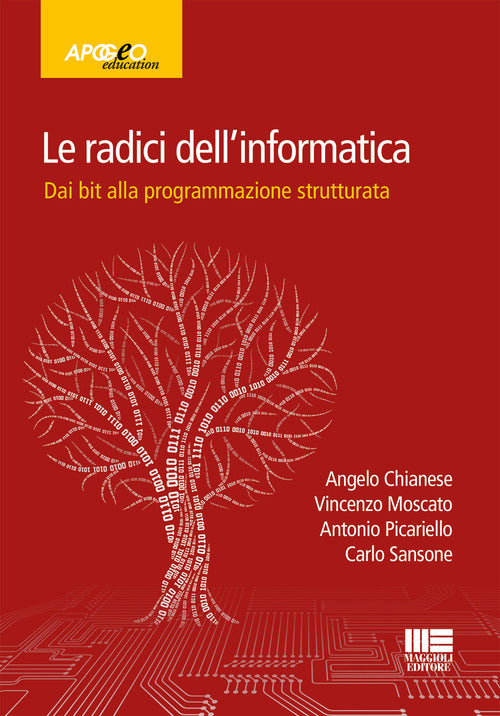 Cover of radici dell'informatica. Dal bit alla programmazione strutturata