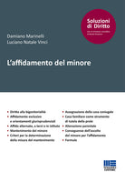 Cover of affidamento del minore