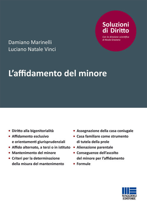 Cover of affidamento del minore