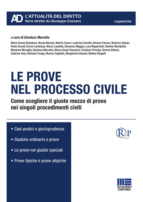 Cover of prove nel processo civile. Come scegliere il giusto mezzo di prova nei singoli procedimenti civili