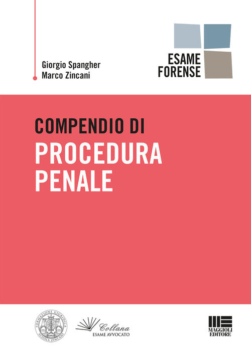 Cover of Compendio di procedura penale