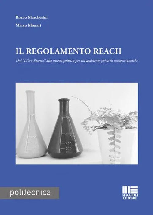 Cover of regolamento Reach