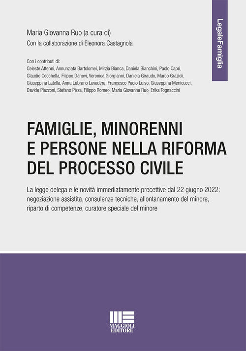 Cover of Famiglie, minorenni e persone nella riforma del processo civile