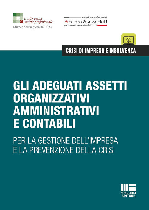 Cover of adeguati assetti organizzativi amministrativi e contabili