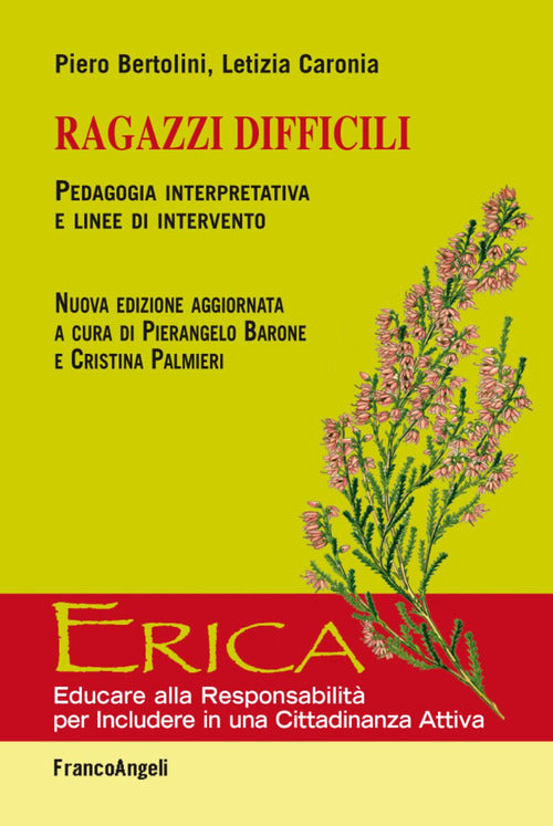 Cover of Ragazzi difficili. Pedagogia interpretativa e linee d'intervento