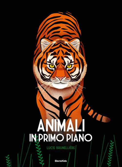 Cover of Animali in primo piano