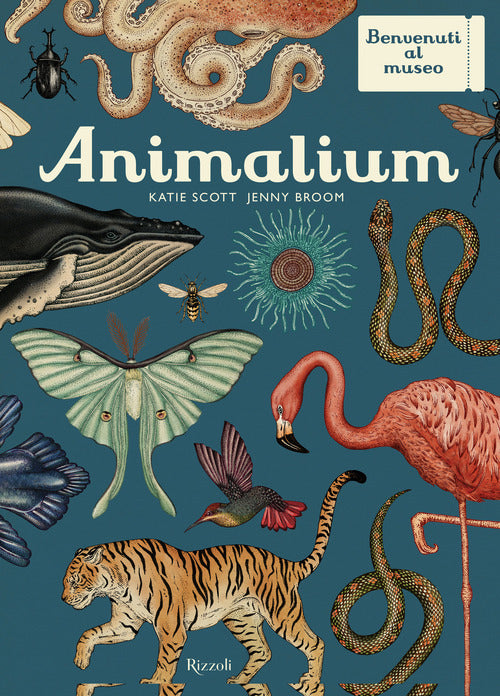 Cover of Animalium. Il grande museo degli animali