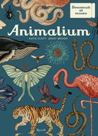 Cover of Animalium. Il grande museo degli animali