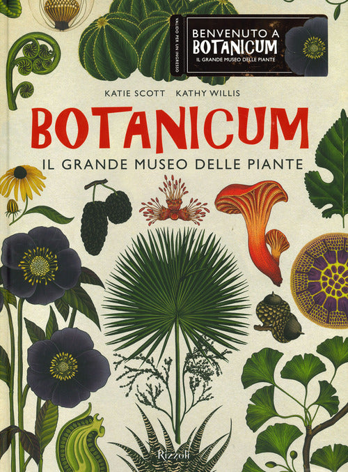 Cover of Botanicum. Il grande museo delle piante