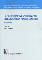 Cover of giurisdizione specializzata nella giustizia penale minorile