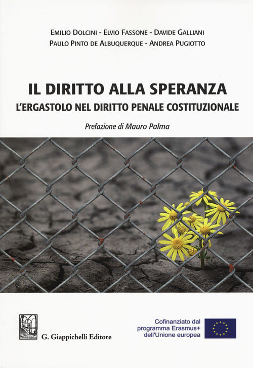 Cover of diritto alla speranza. L'ergastolo nel diritto penale costituzionale