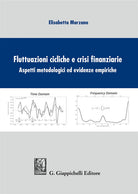 Cover of Fluttuazioni cicliche e crisi finanziare. Aspetti metodologici ed evidenze empiriche