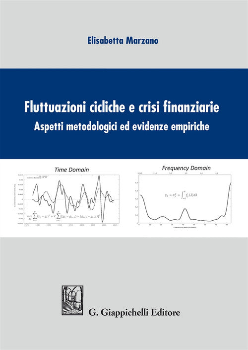 Cover of Fluttuazioni cicliche e crisi finanziare. Aspetti metodologici ed evidenze empiriche